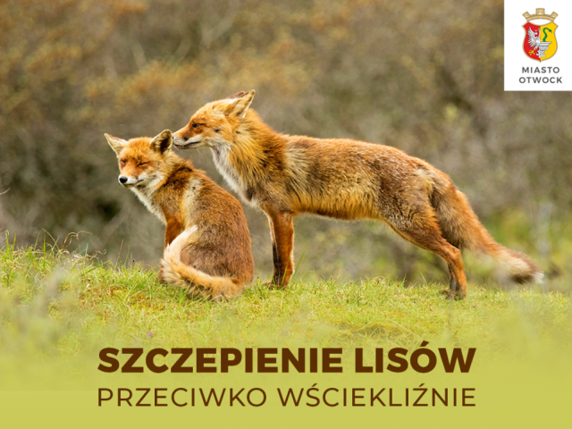 Galeria zdjęć