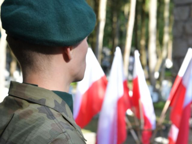 Galeria zdjęć