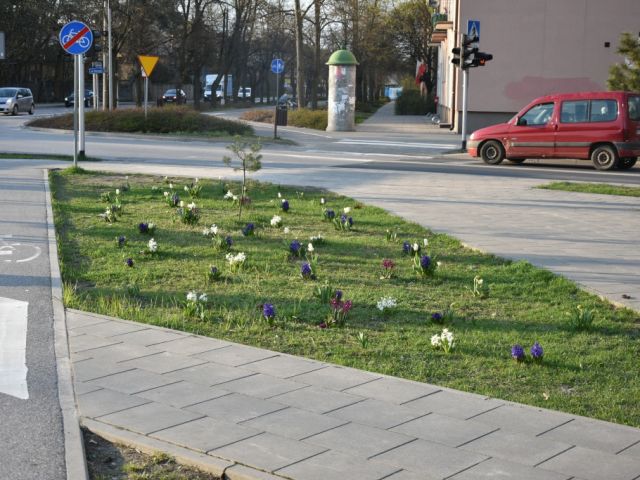 Galeria zdjęć