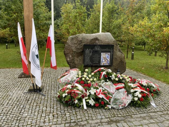 Galeria zdjęć
