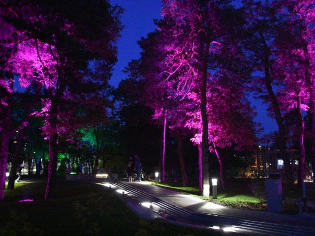 Galeria zdjęć