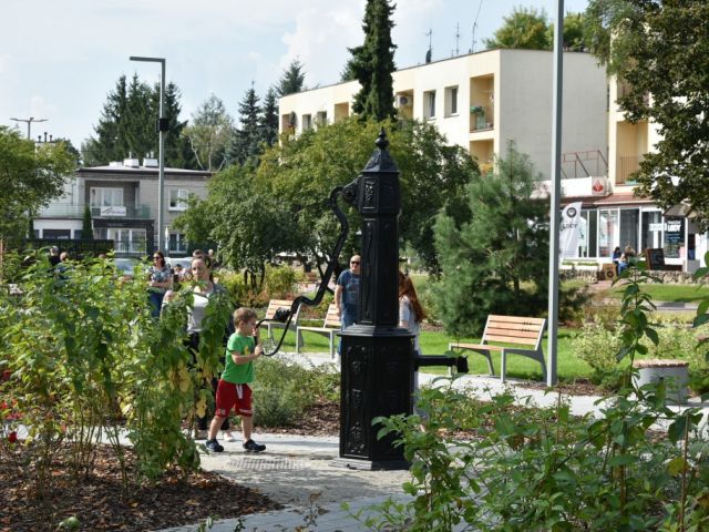 Galeria zdjęć