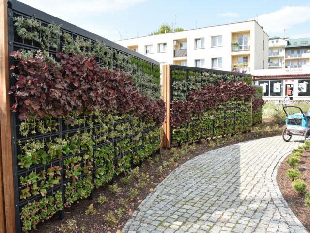 Galeria zdjęć