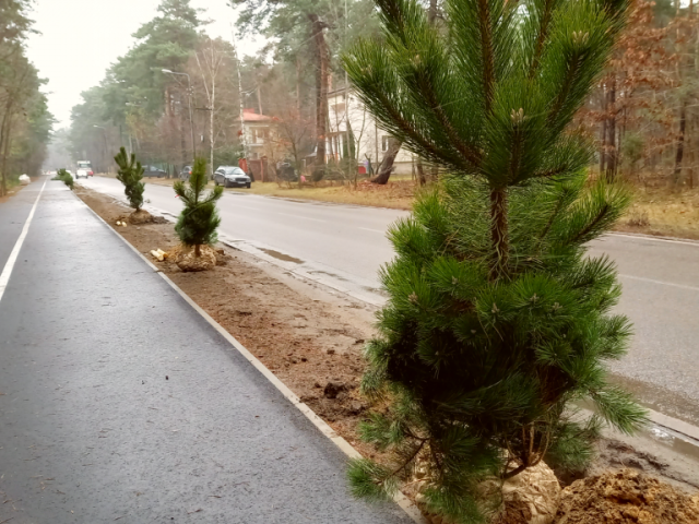 Galeria zdjęć