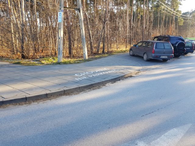 Galeria zdjęć