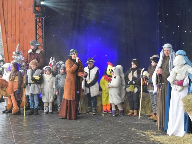Galeria zdjęć