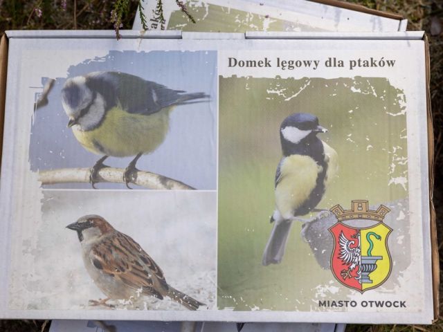 Galeria zdjęć