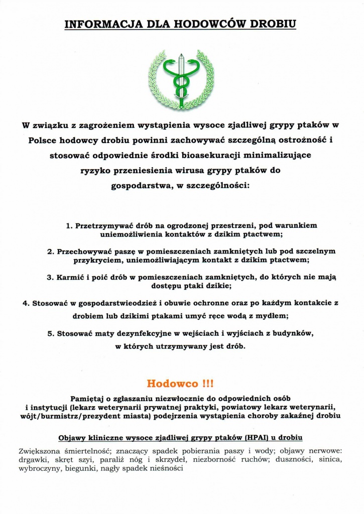 Galeria zdjęć